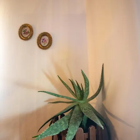 Aggelina's House By Guestcorfu Apartament